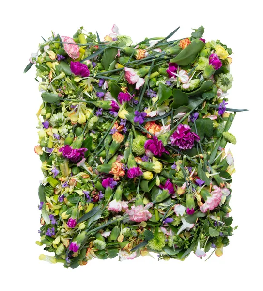 Frühling Blumen Design Element Isoliert Auf Weißem Hintergrund — Stockfoto