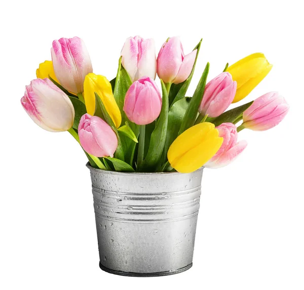Tulipan Kwiaty Wiadrze Metalu Izolowane Białym — Zdjęcie stockowe