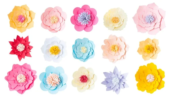 Conjunto Flores Corte Papel Colorido Fundo Branco — Fotografia de Stock