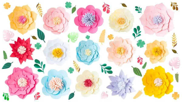 Papír Střih Květiny Set Květinové Pozadí — Stock fotografie