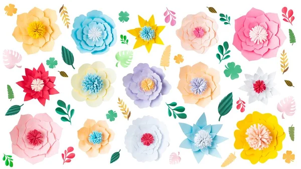 Papier Schnittblumen Gesetzt Floraler Hintergrund — Stockfoto