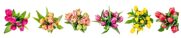 Tulip Bouquets Tampilan Koleksi Bunga Dari Atas Diisolasi Pada Warna — Stok Foto