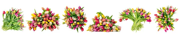 Tulipán Virágok Csokrok Gyűjtemény Készlet Elszigetelt Átlátszó Fehér Háttér — Stock Fotó