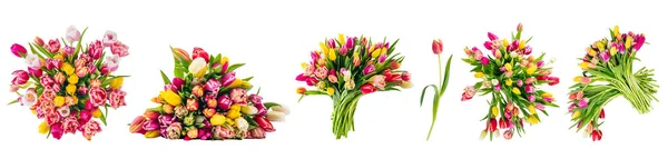 Collection Bouquets Fleurs Tulipe Ensemble Isolé Sur Fond Blanc Transparent — Photo