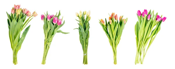 Tulipán Virágok Csokrok Gyűjtemény Készlet Elszigetelt Átlátszó Fehér Háttér — Stock Fotó