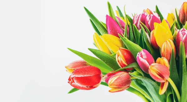 Bunte Tulpenblumen Strauß Auf Weißem Hintergrund Mit Copyspace — Stockfoto