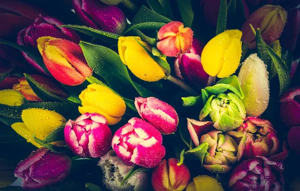 Bunte Tulpenblüten Blumenstrauß Aus Nächster Nähe — Stockfoto
