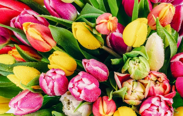 Bouquet Fleurs Tulipes Colorées Close — Photo
