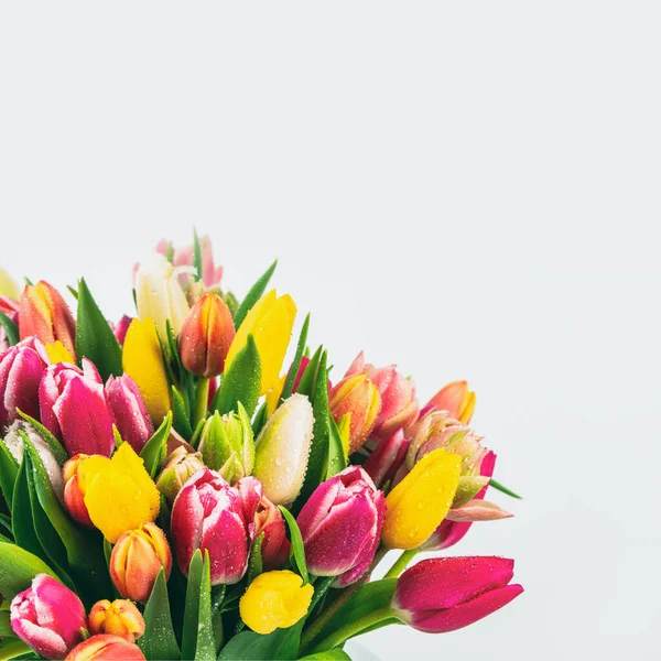 Bunte Tulpenblumen Strauß Auf Weißem Hintergrund Mit Copyspace — Stockfoto