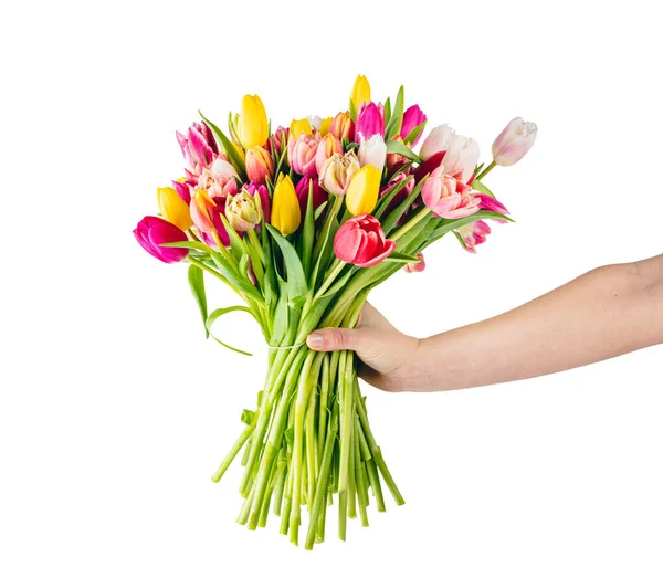 Daję Kwiaty Tulipanom Jako Prezent Izolacja Białym Tle — Zdjęcie stockowe