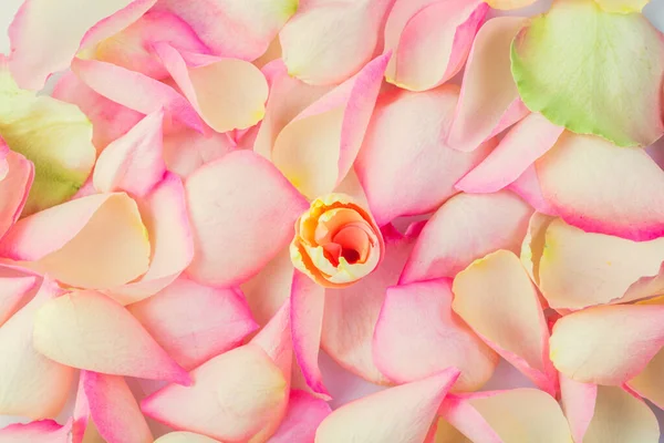 Zarte Blütenblätter Floralen Hintergrund Ideal Für Grußkarte Zum Muttertag Oder — Stockfoto