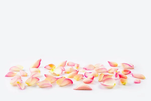 コピースペースのある白い背景に花の花弁がクローズアップされます 母の日やバレンタインデーのグリーティングカードに最適 — ストック写真