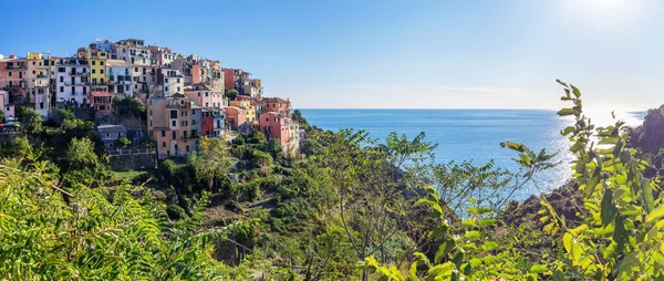 Corniglia Cinque Terre Itália Com Vinhas Terraços Verão Destino Turístico — Fotografia de Stock