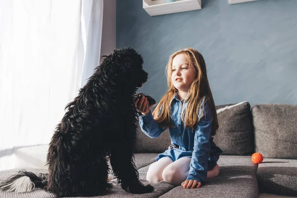 犬の友達と家で遊んでいる若い女の子 — ストック写真