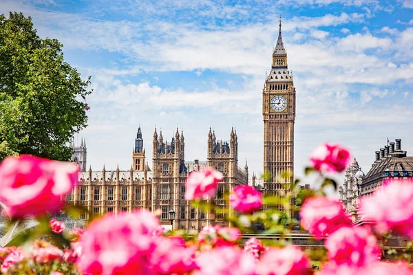 Big Ben Palace Westminster London Seen Public Garden Flowers — Foto de Stock