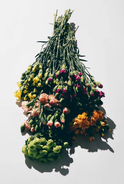 Букет Диких Весняних Квітів Білому Тлі Суворою Тіні — стокове фото