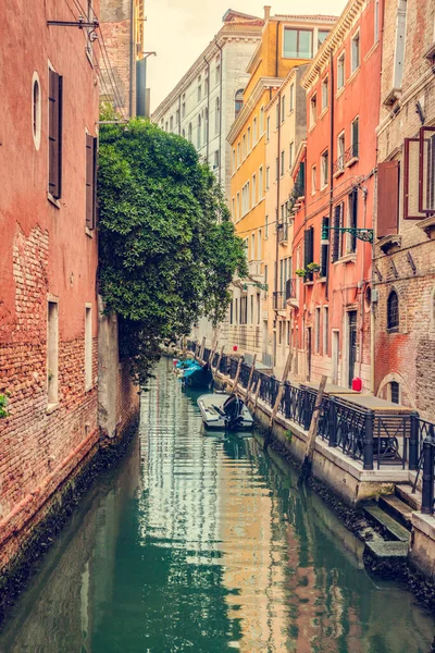 Βενετία Ιταλία Ένα Στενό Κανάλι Πράσινο Δέντρο Ιστορική Ιταλική Πόλη — Φωτογραφία Αρχείου