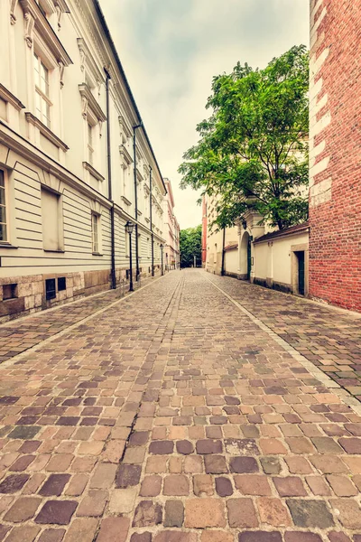 空の石畳の古い町の通り ポーランド クラクフ ストック写真