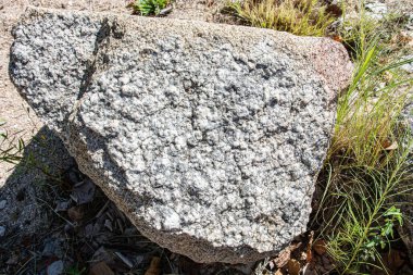 stone texture of rock formations close up