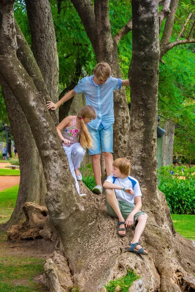 Παιδιά Που Παίζουν Ένα Δέντρο Στο Πάρκο — Φωτογραφία Αρχείου