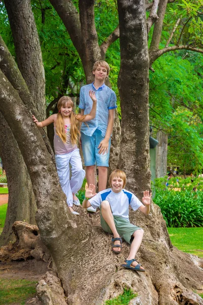 Barn Som Leker Ett Träd Parken — Stockfoto