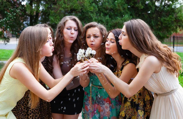 Parkta Bir Buket Karahindiba Taşıyan Mutlu Grup Bayan Arkadaşları — Stok fotoğraf