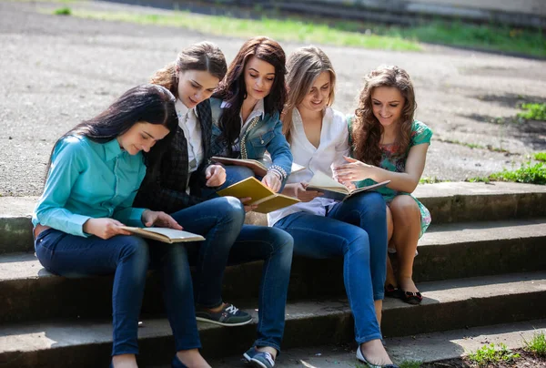 Grupo Alumnas Sentadas Con Libros Patio Universidad —  Fotos de Stock