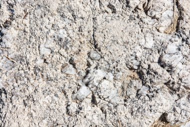 Kayanın taş dokusu, yakından.