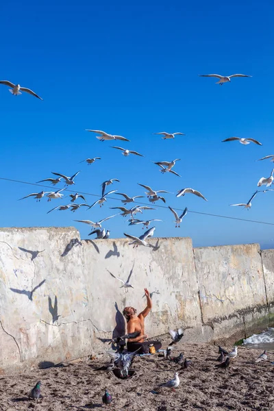 Man Seashore Feeds Seagulls Bread — Stock Photo, Image