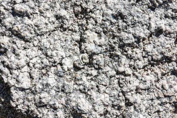 Tekstur Batu Batu Menutup — Stok Foto