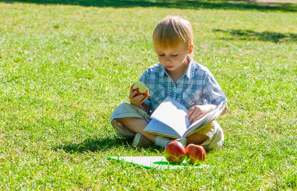 Petit Garçon Avec Une Pomme Livre Dans Parc — Photo