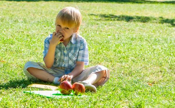 公园里拿着苹果和一本书的小男孩 — 图库照片