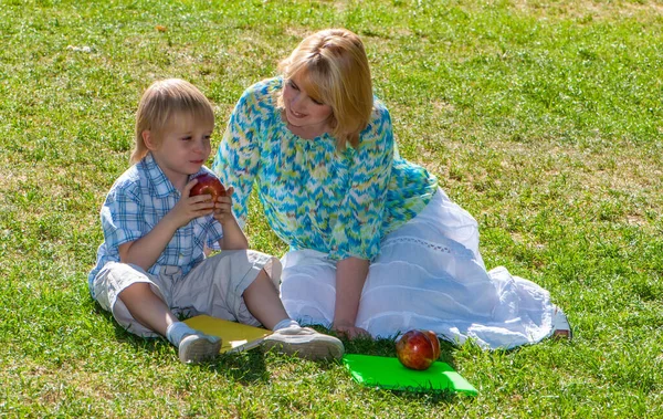 公園の芝生の上の息子と母 — ストック写真