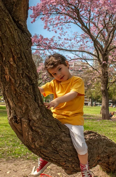 Glada Pojke Sitter Ett Träd Parken — Stockfoto
