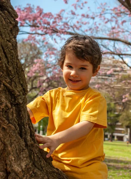 Χαρούμενο Αγόρι Που Κάθεται Ένα Δέντρο Στο Πάρκο — Φωτογραφία Αρχείου