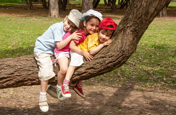 Маленькі Діти Сидять Дереві Парку — стокове фото