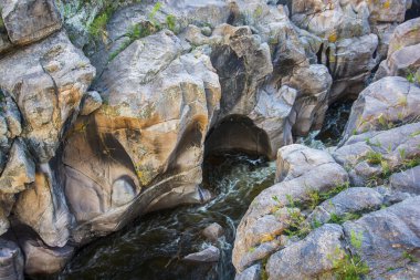 Kayaların üzerinde bir sürü yosun yetişen kayalık bir nehir. Su kahverengi ve bulanık.