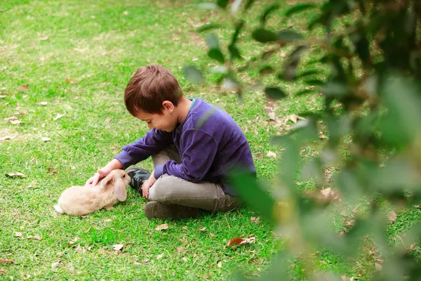 Kucağında bir tavşanla çimlerin üzerinde oturan bir çocuk. Tavşan küçük ve beyaz