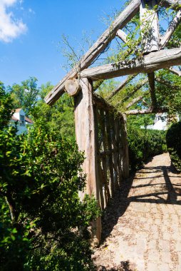 Yeşil bitkileri olan eski ahşap pergola. Ahşap çerçevedeki bitkilerden yeşil karidor.