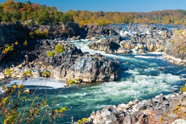 Şiddetli hızlı dağ nehri yüksek kayaların arasında akar. Güneşli bir günde geniş bir dağ nehrinin sonbahar manzarası.