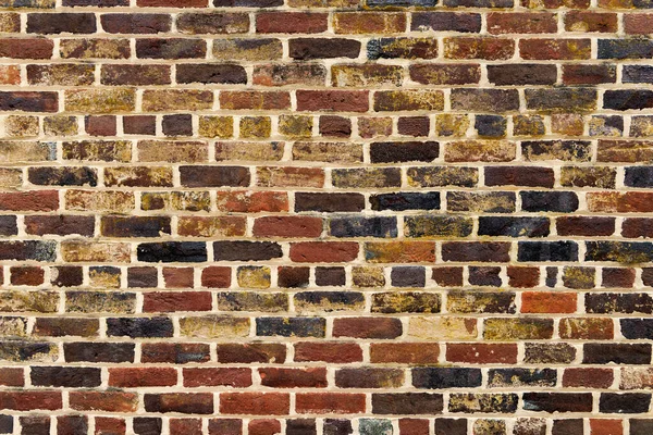 colorful brick wall as a background,