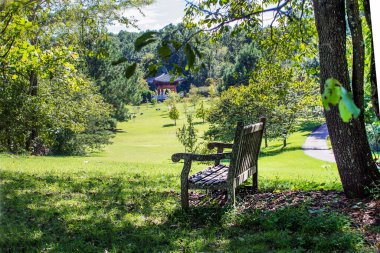 Büyük ağacın gölgesinde, yaz parkında ahşap bir bank..