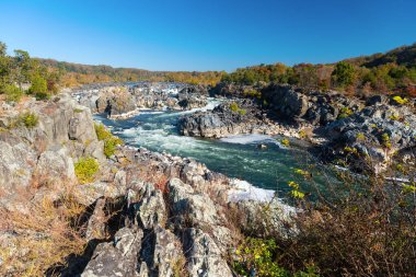 Turkuaz hızlı dağ nehri yüksek kayaların arasında akar. Güneşli bir günde geniş bir dağ nehrinin sonbahar manzarası.