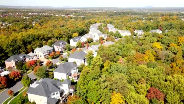 秋天的全景 是现代中上层一户民房街道的全景 美国弗吉尼亚州的房地产 无人机视图 — 图库视频影像