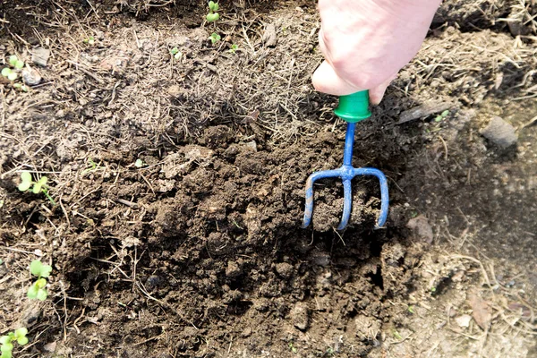 Gardener Hand Works Soil Rake Close — Stock Photo, Image