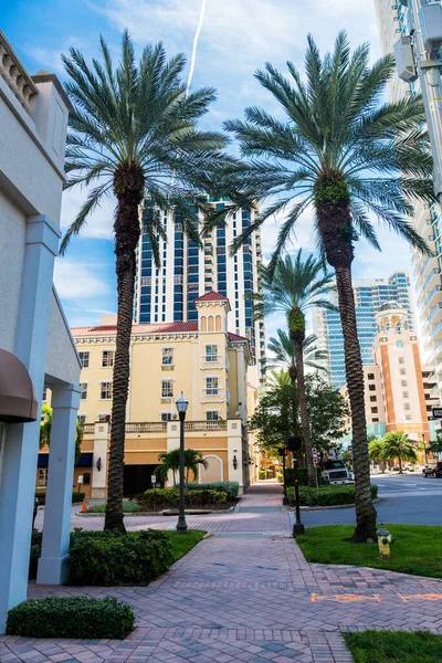 Downtown City Petersburg Florida Tall Buildings Palms Blue Sky — Stock Photo, Image