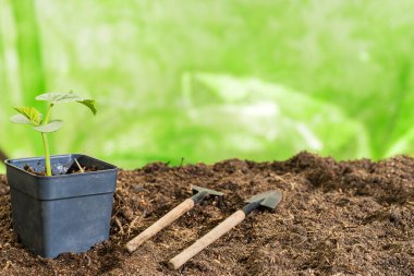 Küçük bahçe tırmığı, sebze filizli kürek. Metin için yer