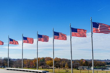 Washington D.C. 'deki Washington Memorial üssünde mavi gökyüzüne karşı Birleşik Devletler Bayrakları.