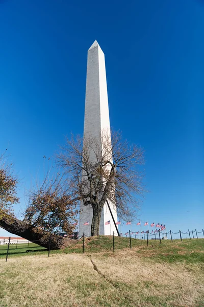 Washington Washington Estados Unidos Árboles Pie Del Monumento George Washington —  Fotos de Stock