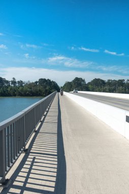 Virginia 'daki Assateague Adası Ulusal Parkı' nda raylı bisiklet yolu.
